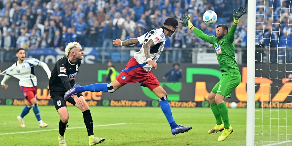 New target: Fulham now ready to pounce for 23-goal striker available for £0